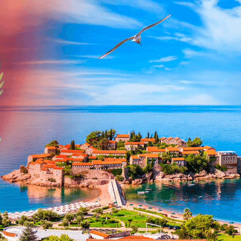 Црна Гора -дива и прекрасна